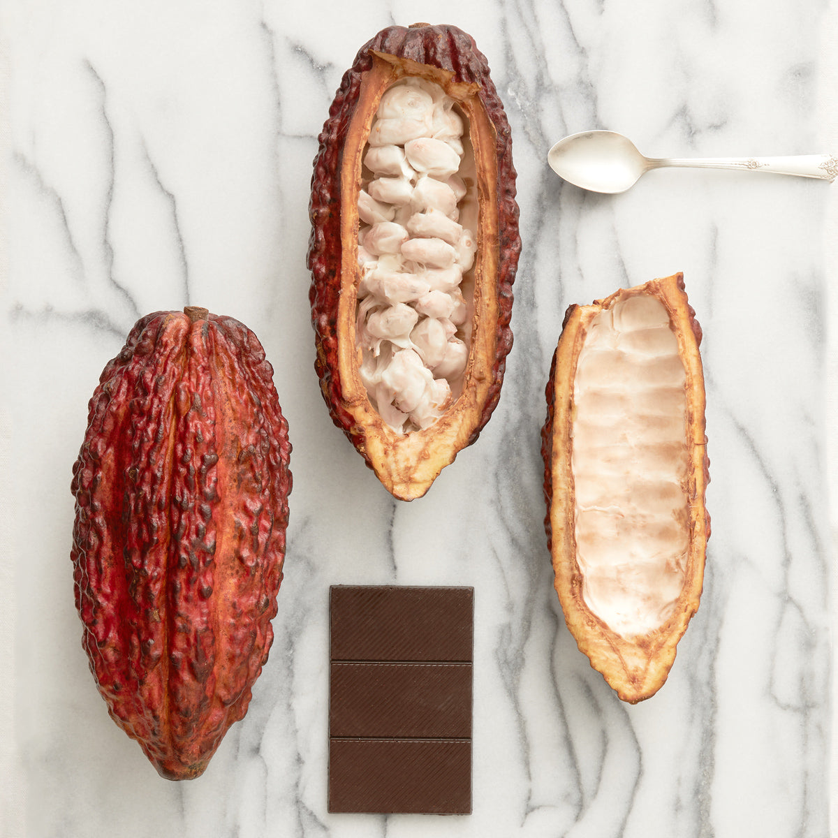 vosges-haut-chocolat-blog/the-health-benefits-of-raw-cacao