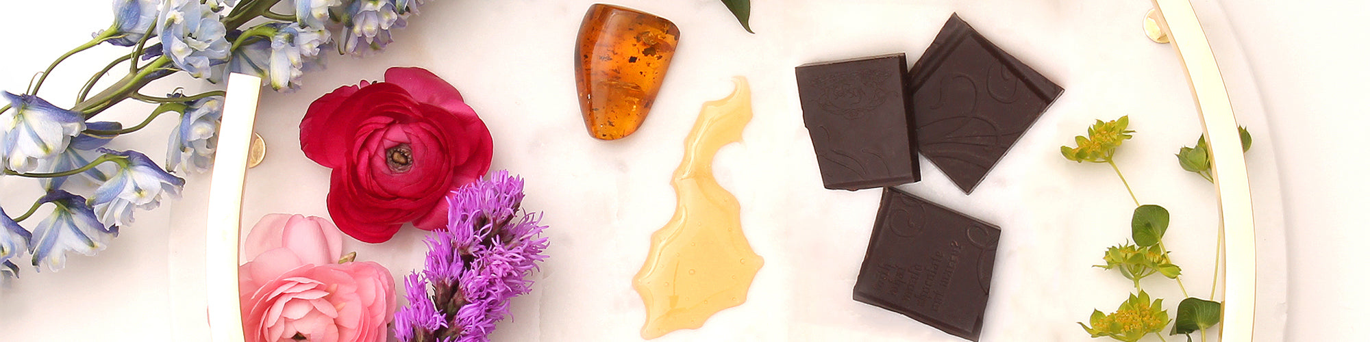 Chocolate Bar Libraries Vosges HautChocolat