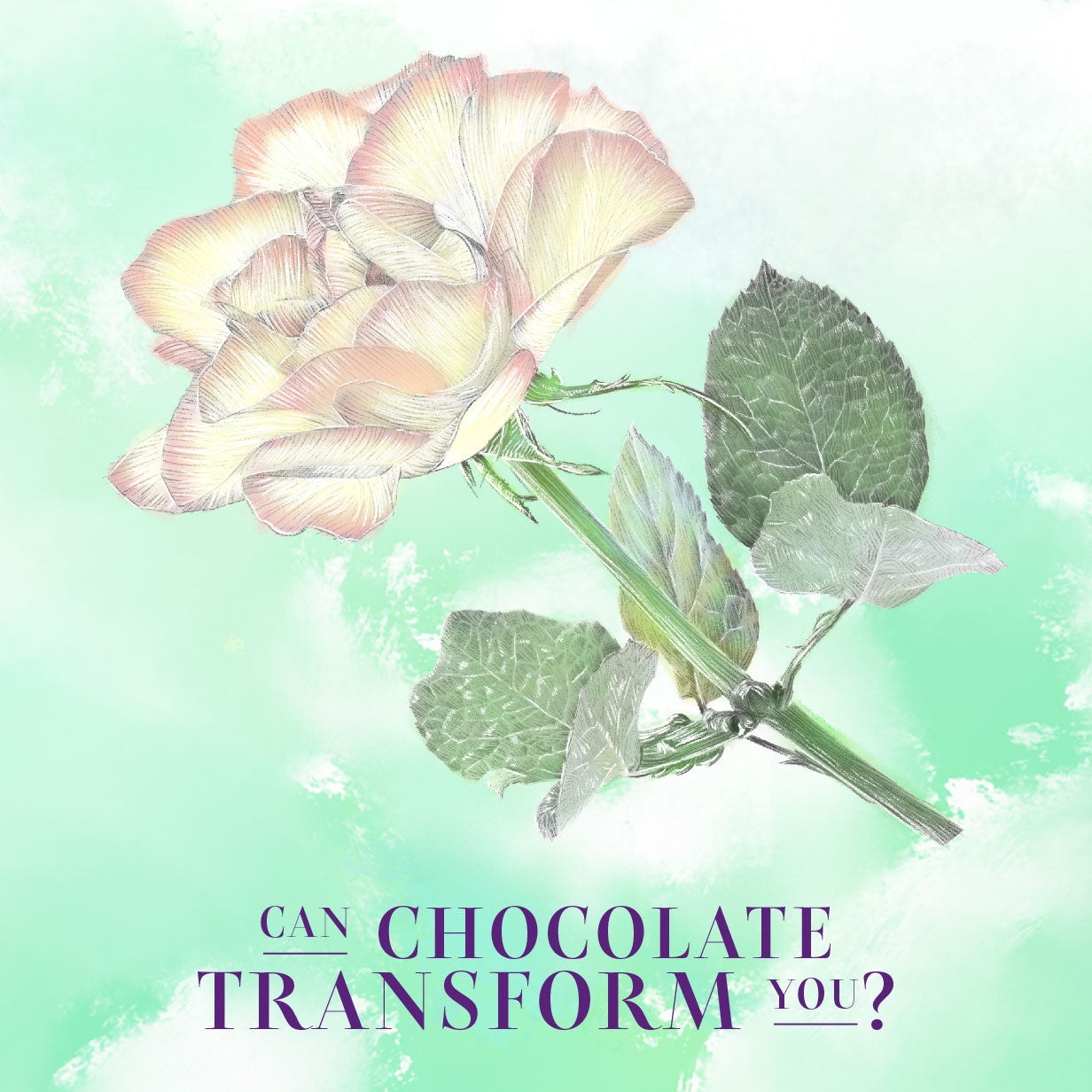 files-dream_book_illos_landing_page-03-jpg