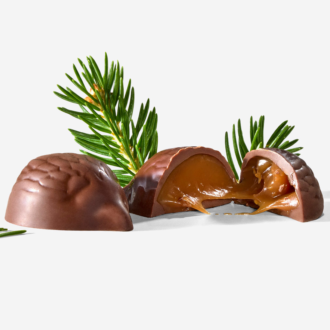 Haut-Chocolat Advent Calendar Refill