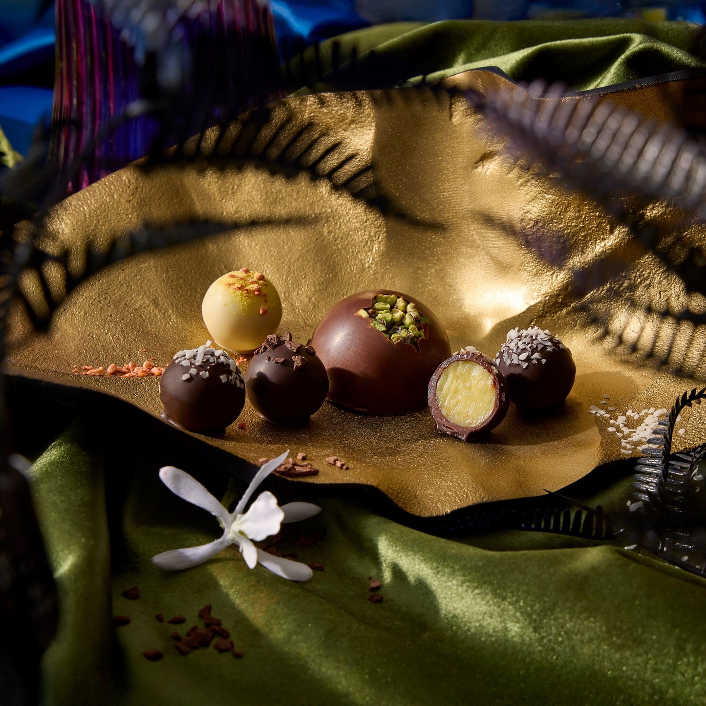 Wild Cacao Ensemble