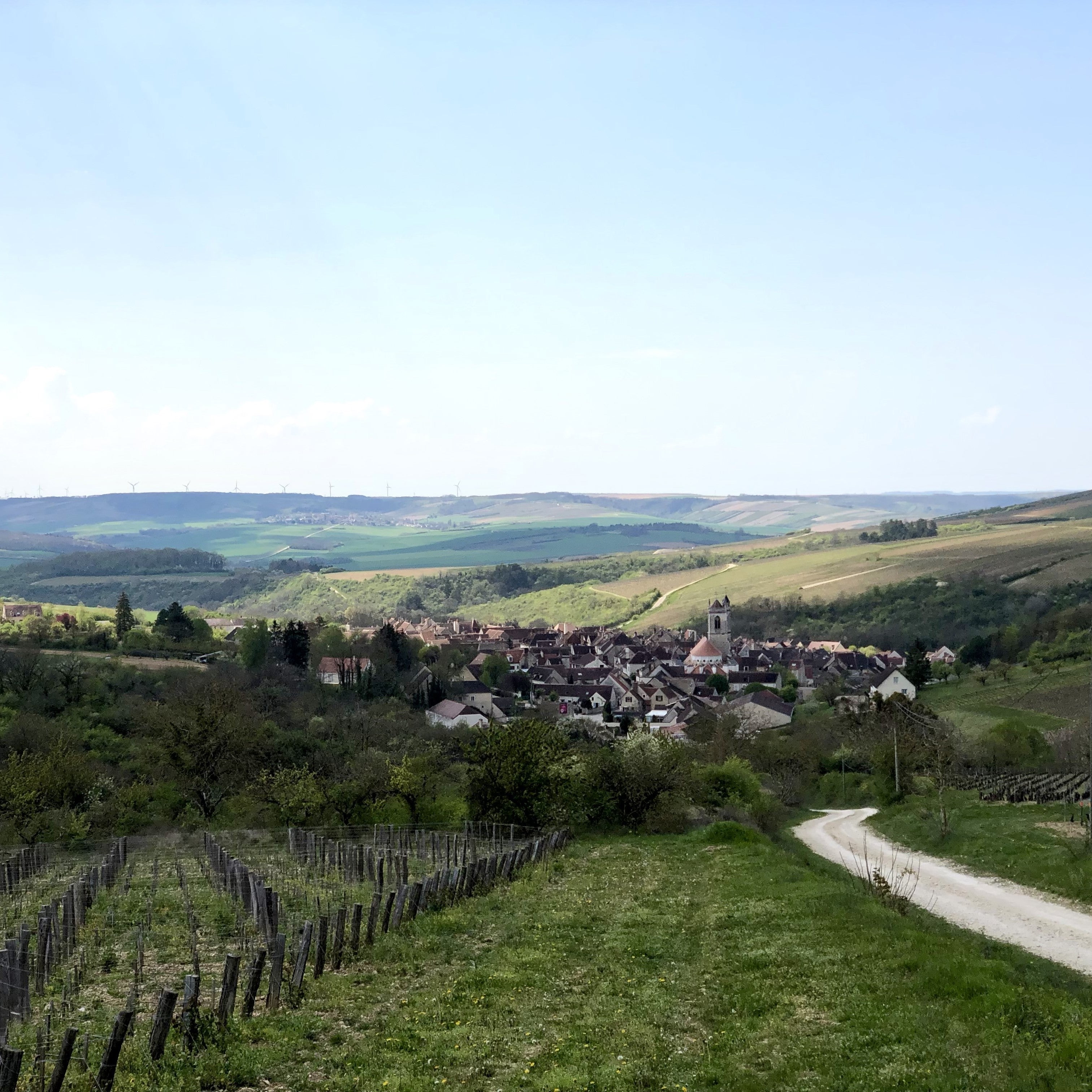 vosges-haut-chocolat-blog/introducing-the-vosges-burgundy-club