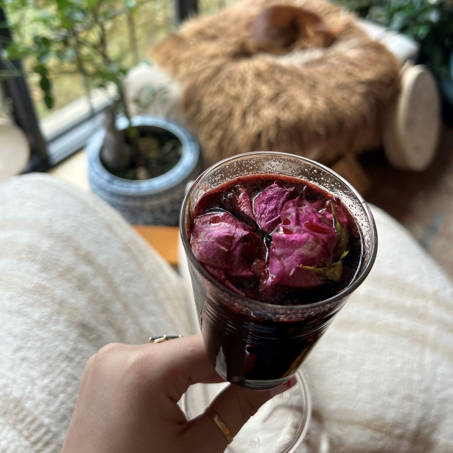 vosges-haut-chocolat-blog/moroccan-mulled-wine