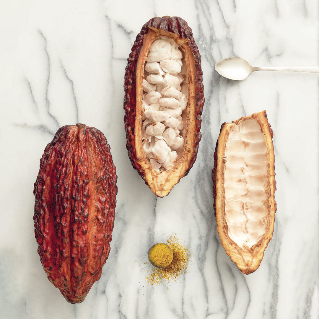 vosges-haut-chocolat-blog/the-magic-of-cacao