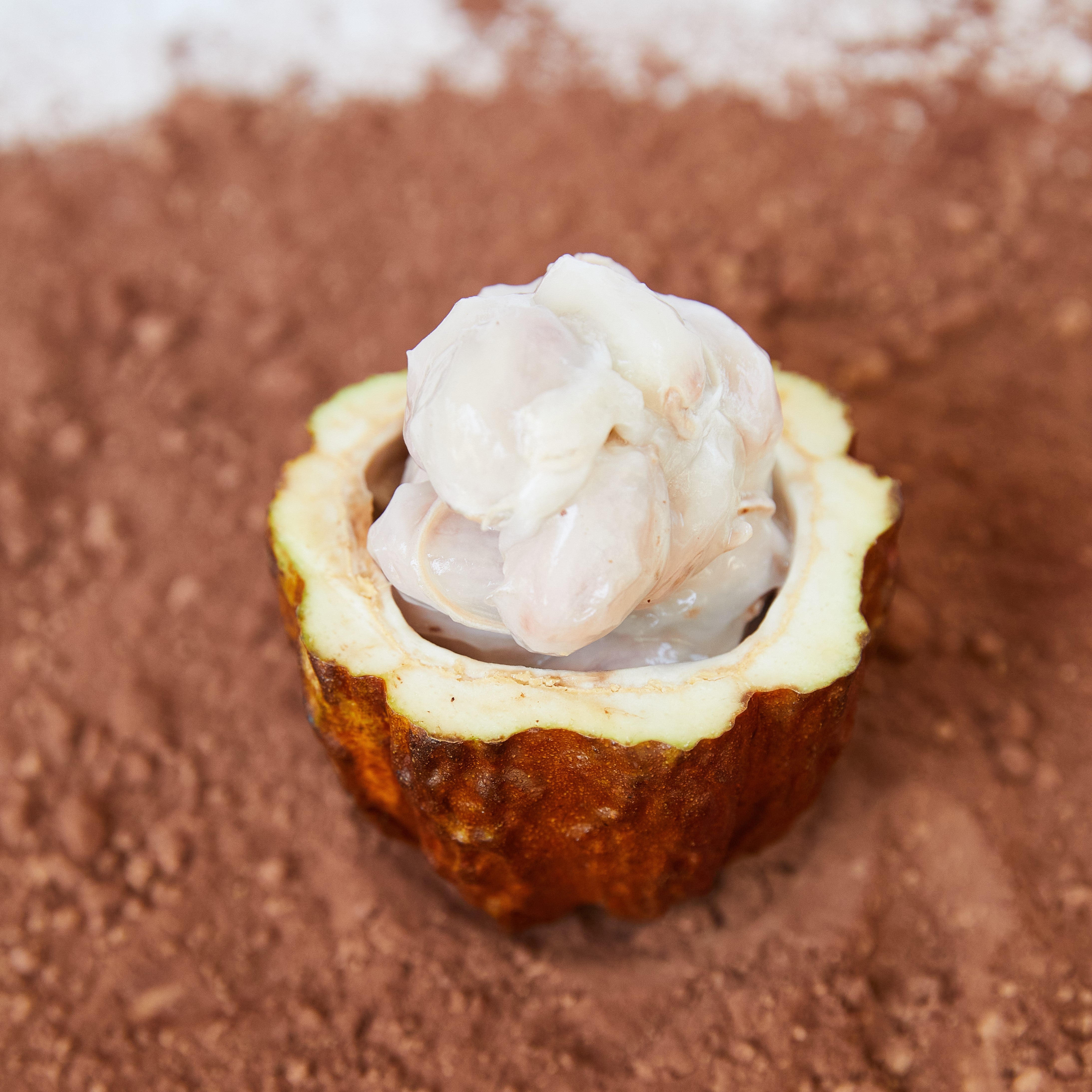 vosges-haut-chocolat-blog/about-dr-william-li