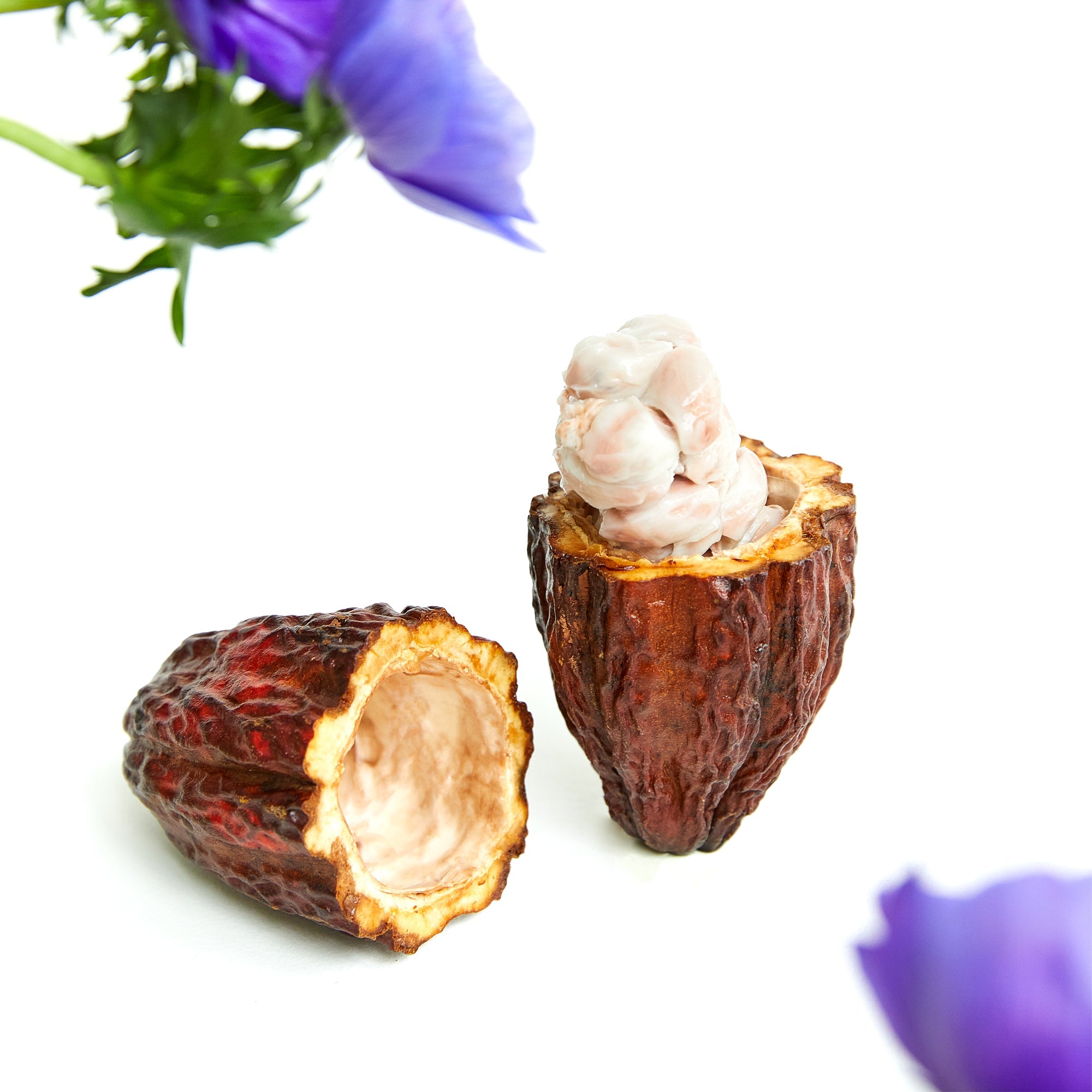 vosges-haut-chocolat-blog/feed-your-brain-food-that-is-good-for-your-brain