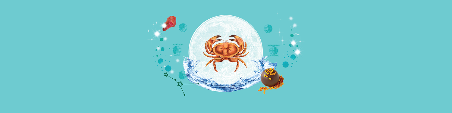 Cancer Gift Guide