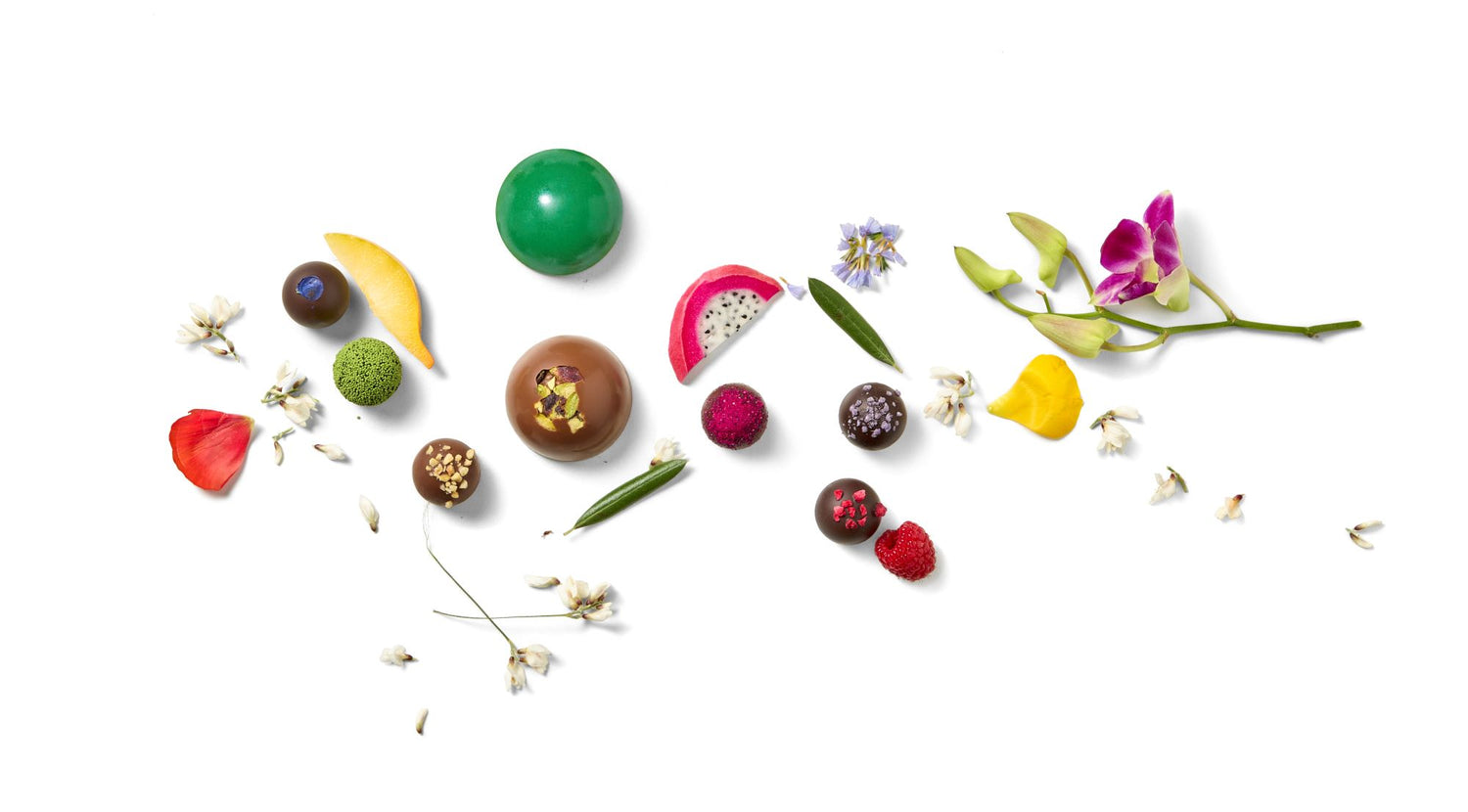 Spring Collections