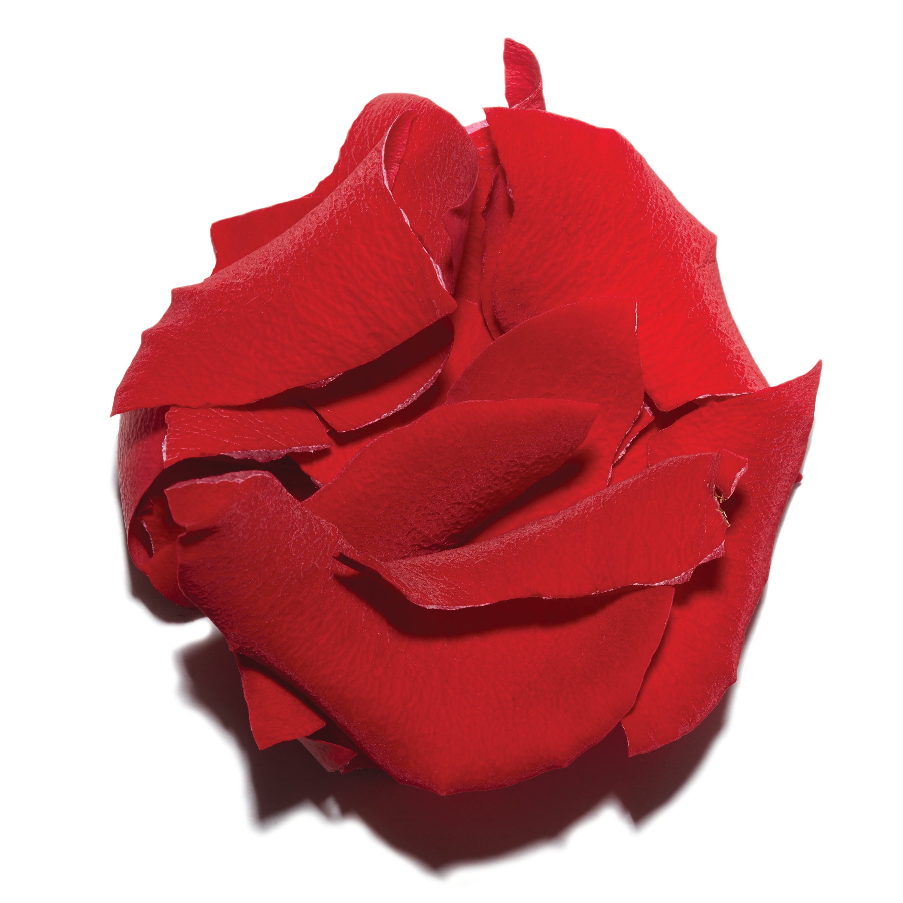 gid-shopify-mediaimage-20375799365728