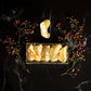 A piece of Vosges dipped crystalized ginger beside a branch of dried berries and a box of ginger on a black marble background.