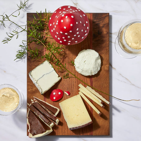 chocolate-forest-mushroom