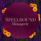 Spellbound Chocolate Menagerie