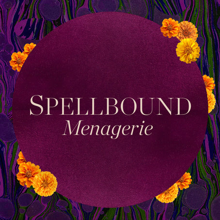 spellbound-chocolate-menagerie
