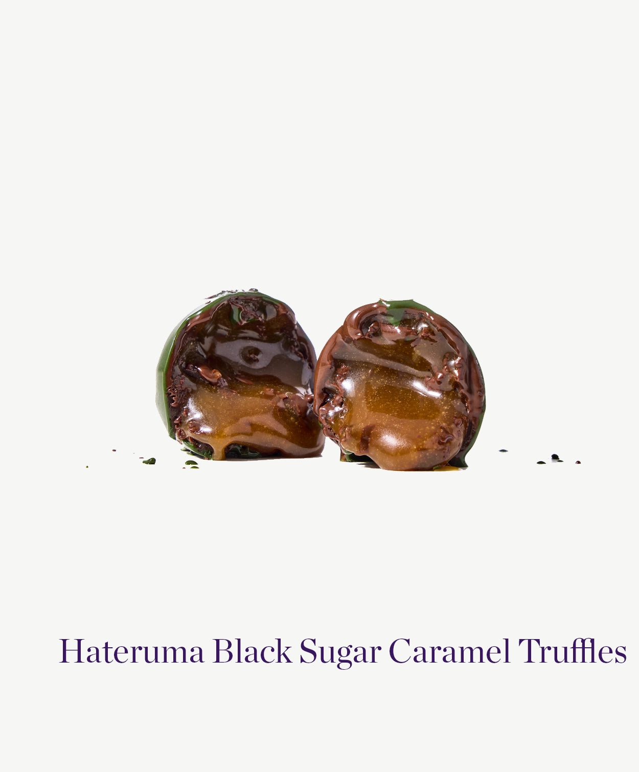 Chocolate Caramel Bulk Truffle Trays, 16 pieces