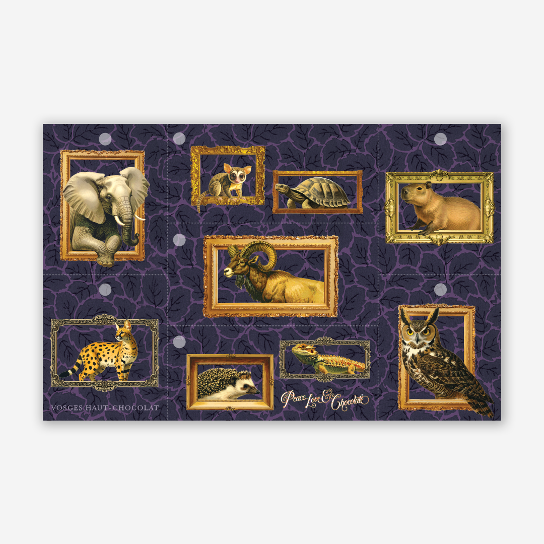 Wild Cacao Gift Tags