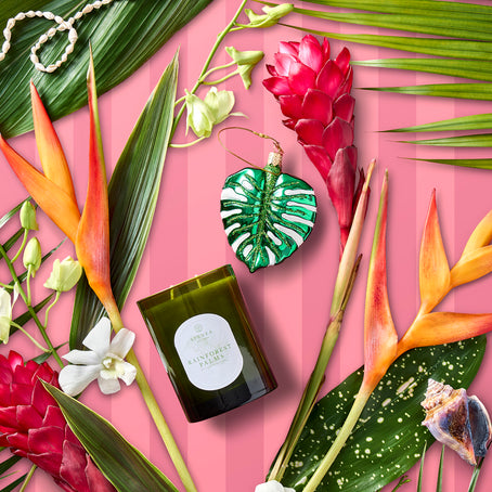 martinique-cacao-ritual