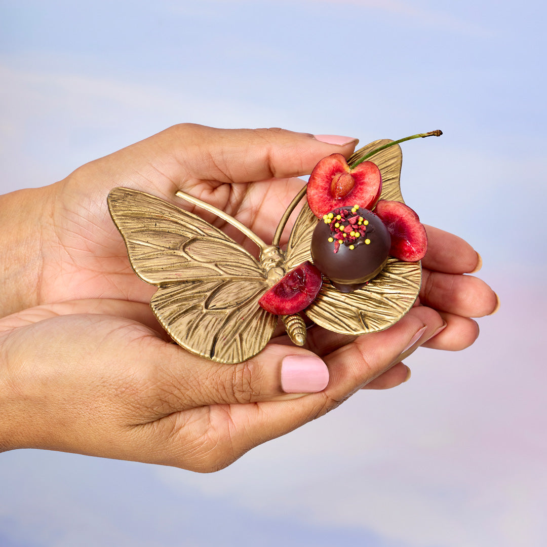 Aurelia Chocolate Ensemble