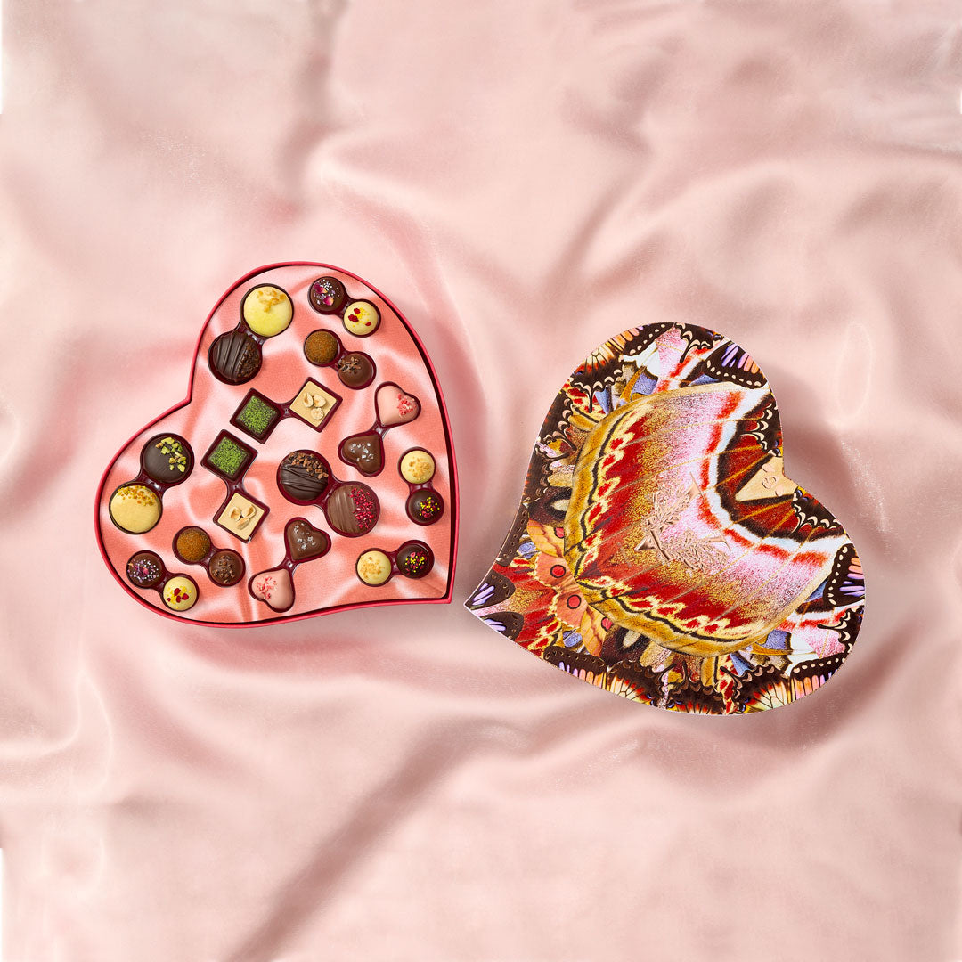 Aurelia Chocolate Ensemble