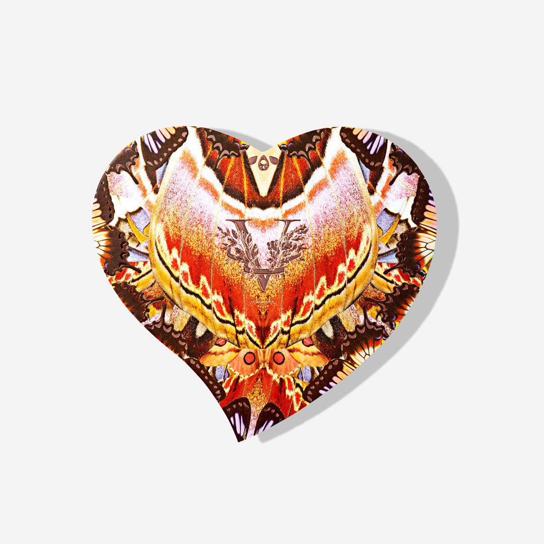 Aurelia Chocolate Ensemble