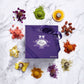 Exotic Truffles, 16 pieces