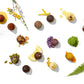 Exotic Truffle Collection, 16 pieces