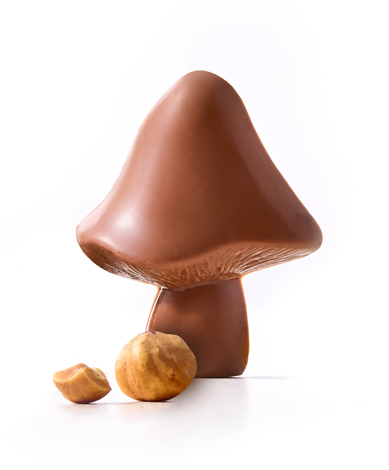 Hazelnut Chocolate Mushrooms